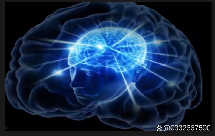 某歌手涉嫌抄袭原作方发文维权的明星塌房配图